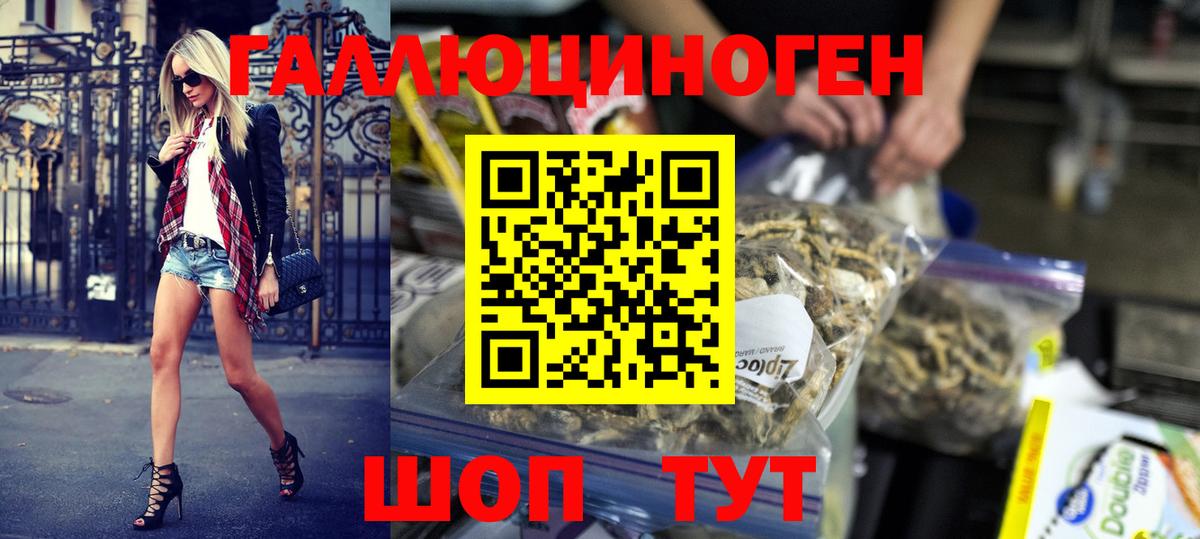 Сарапул  Псилоцибиновые грибы Cubensis  Вход с VPN 